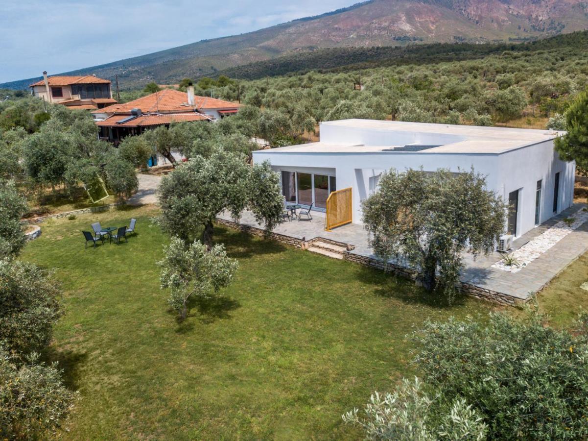 Avgoustidis Apartments Limenaria  Exterior photo