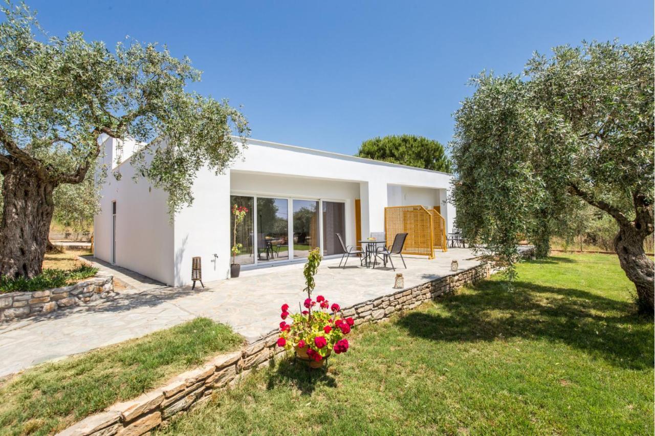 Avgoustidis Apartments Limenaria  Exterior photo